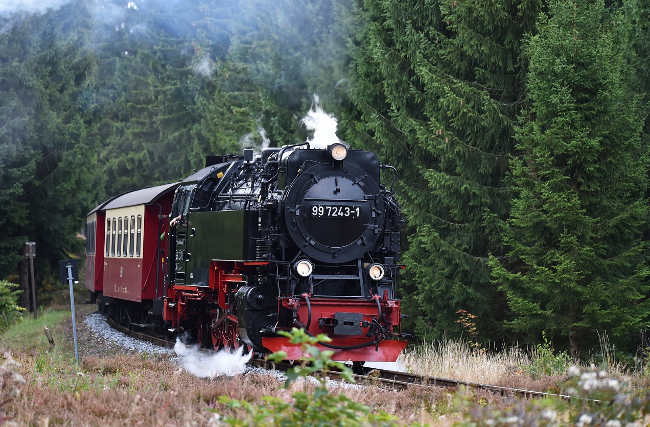 Dampflok im Harz